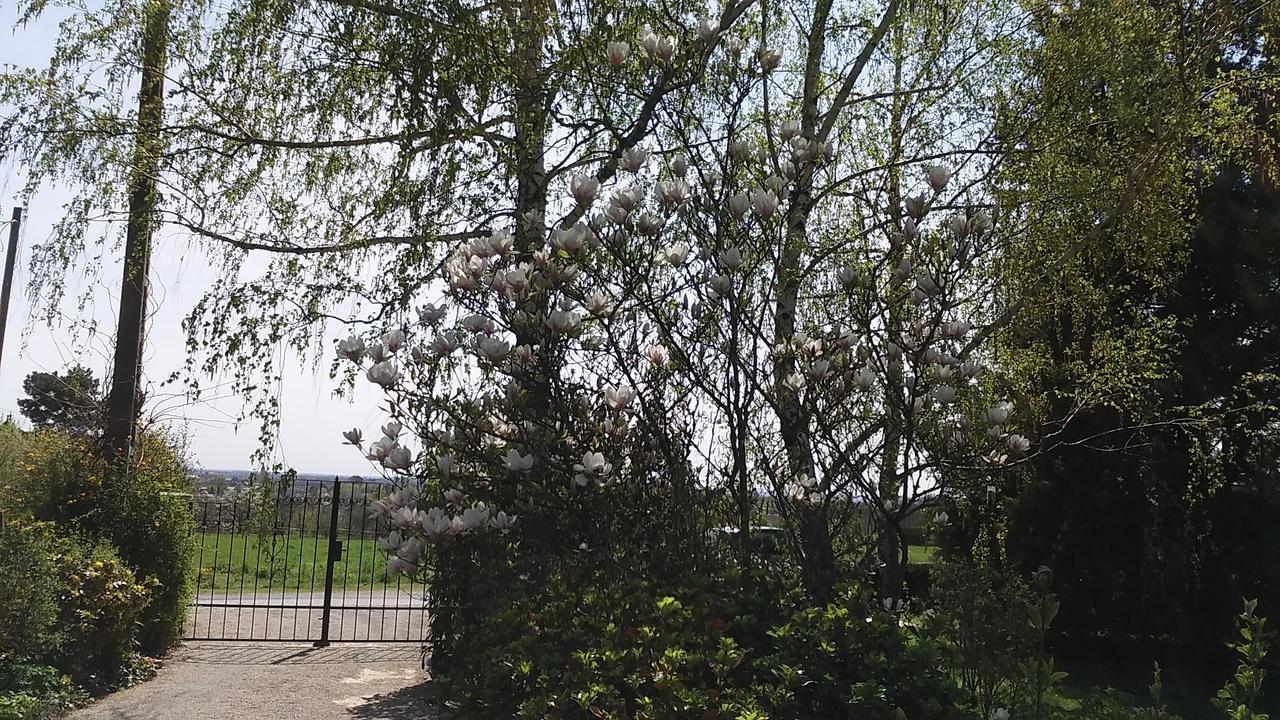 צ'רסגטומאי Frutta Villa מראה חיצוני תמונה
