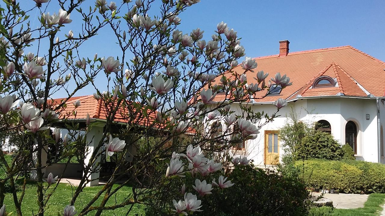 צ'רסגטומאי Frutta Villa מראה חיצוני תמונה